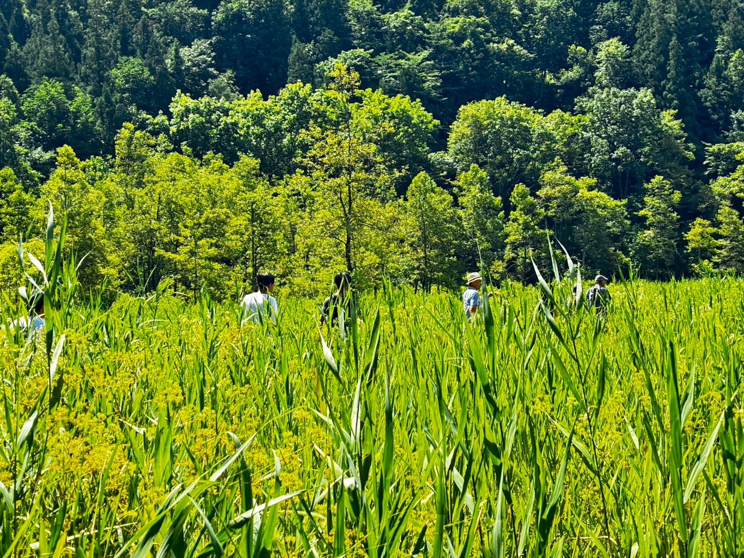 生物部_黒菱山荘3