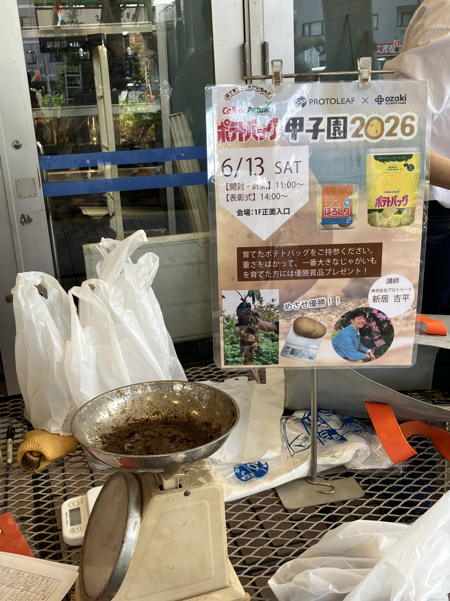 生物部‗ポテトバッグ甲子園3