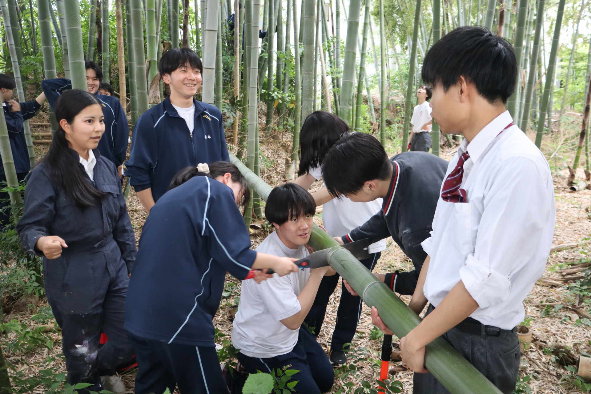 竹狩り_1.JPG