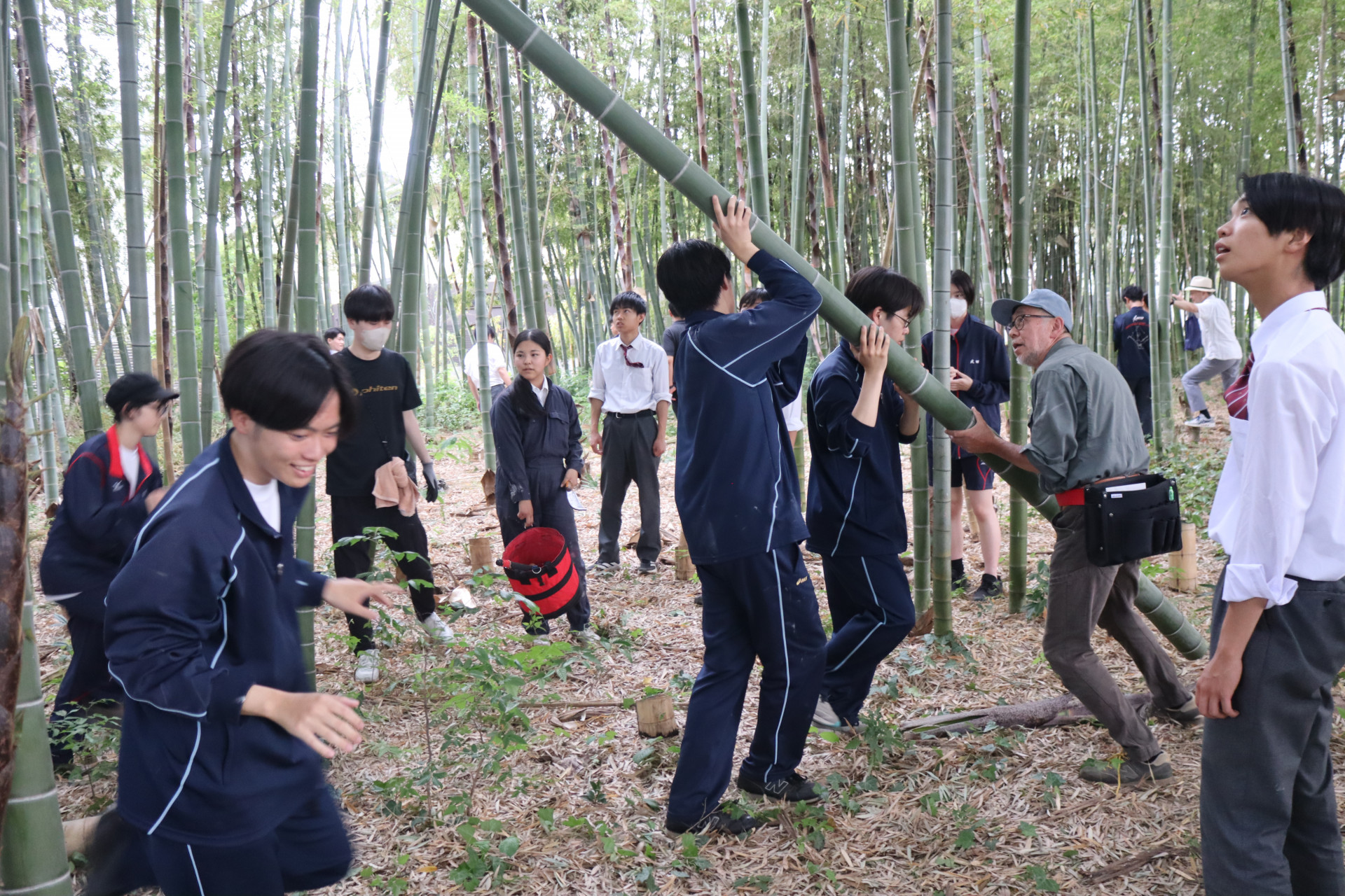竹狩り_2.JPG