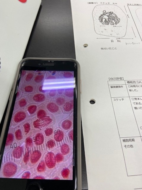 ③