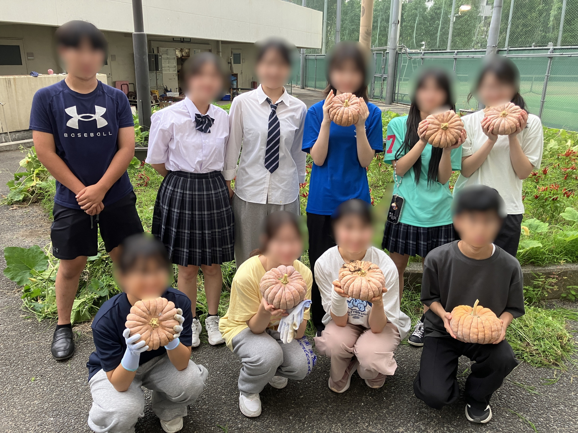 かぼちゃ滑降用