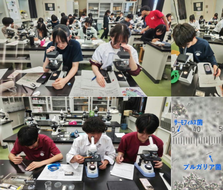 生物基礎の授業