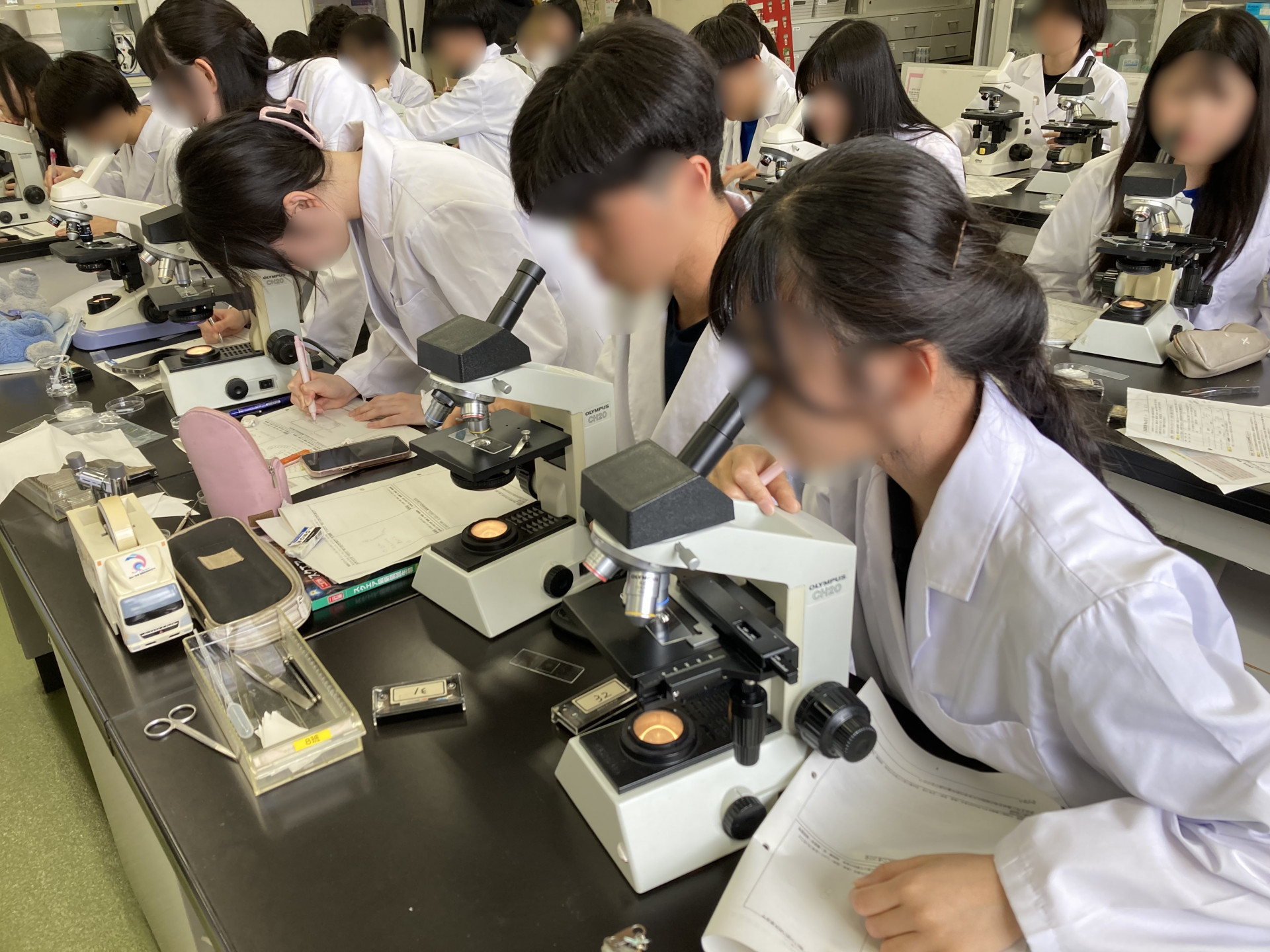 生物基礎３