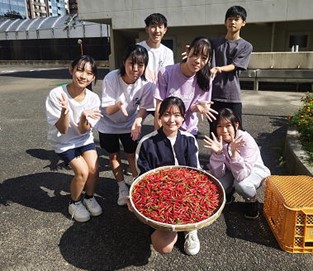 画像4