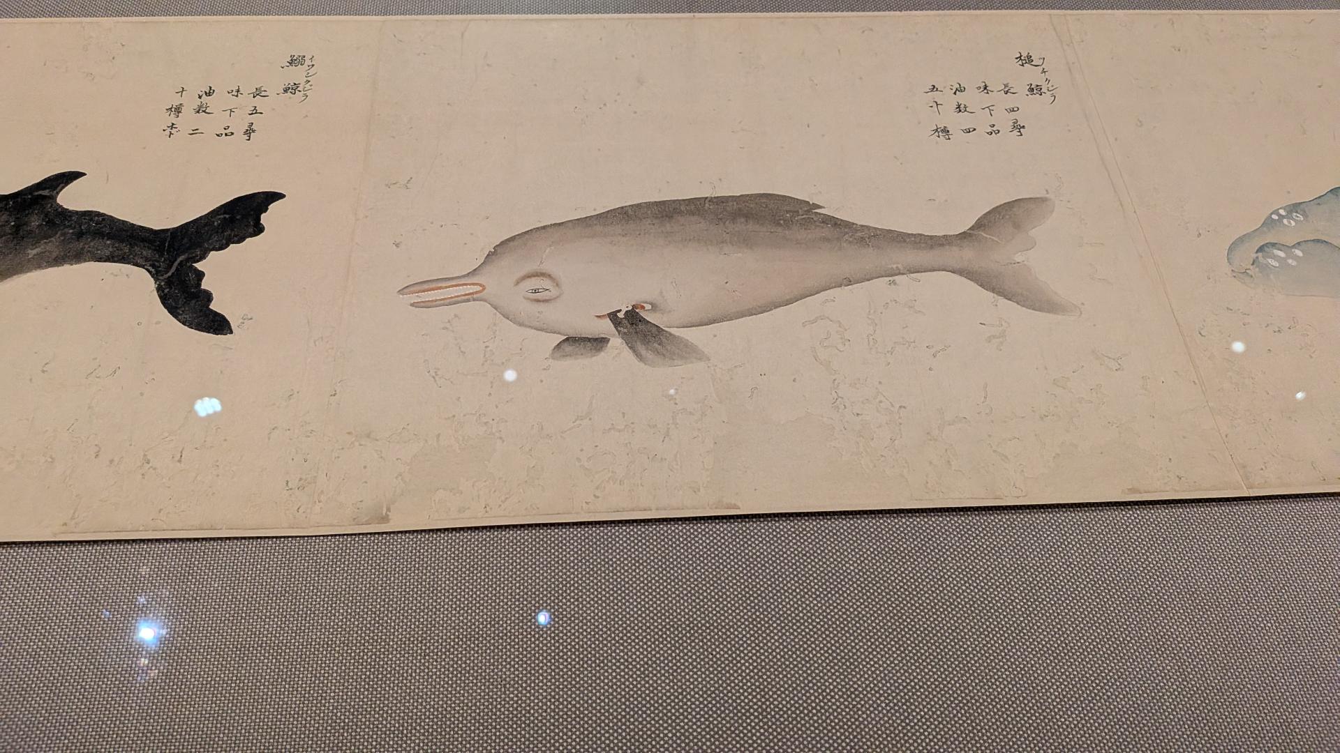 とーはく