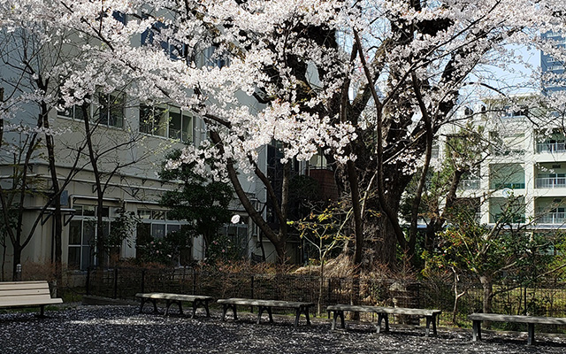 蓬莱園の画像