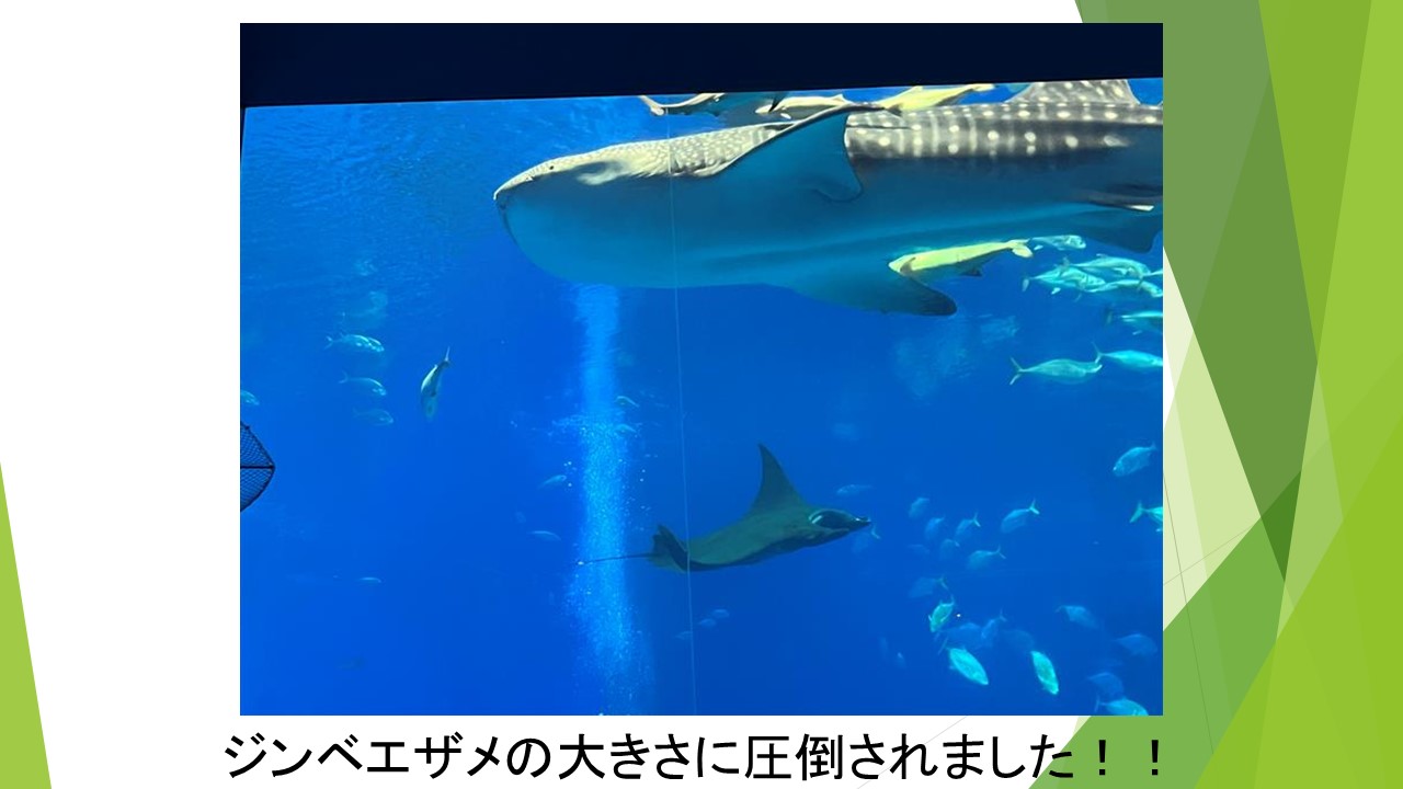 スライド13.JPG