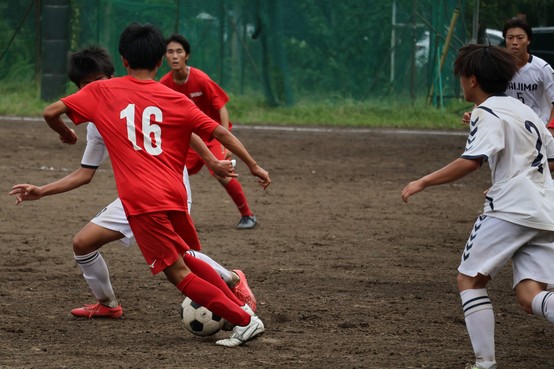 IMG_2768.JPG