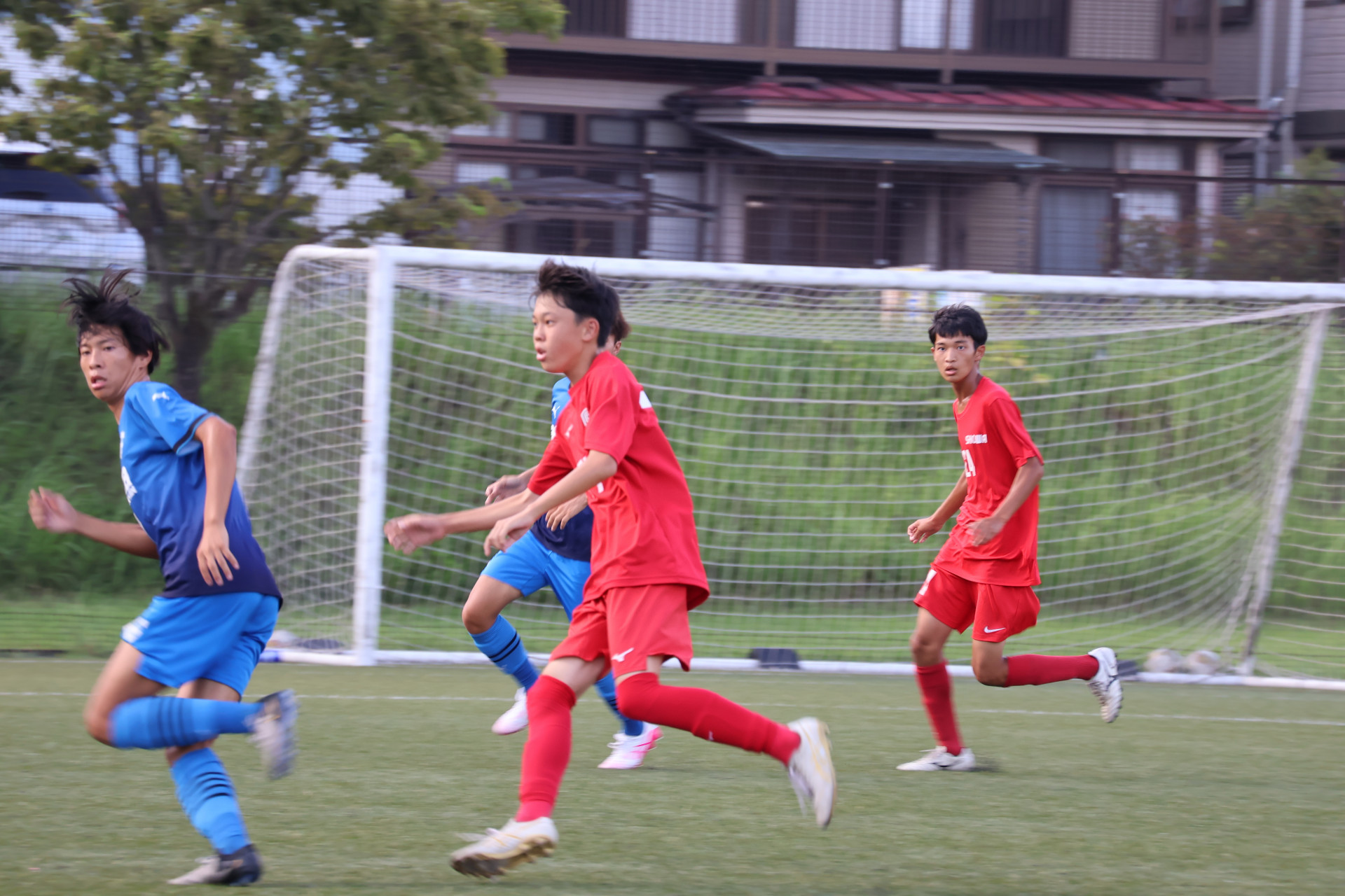 IMG_7681.JPG