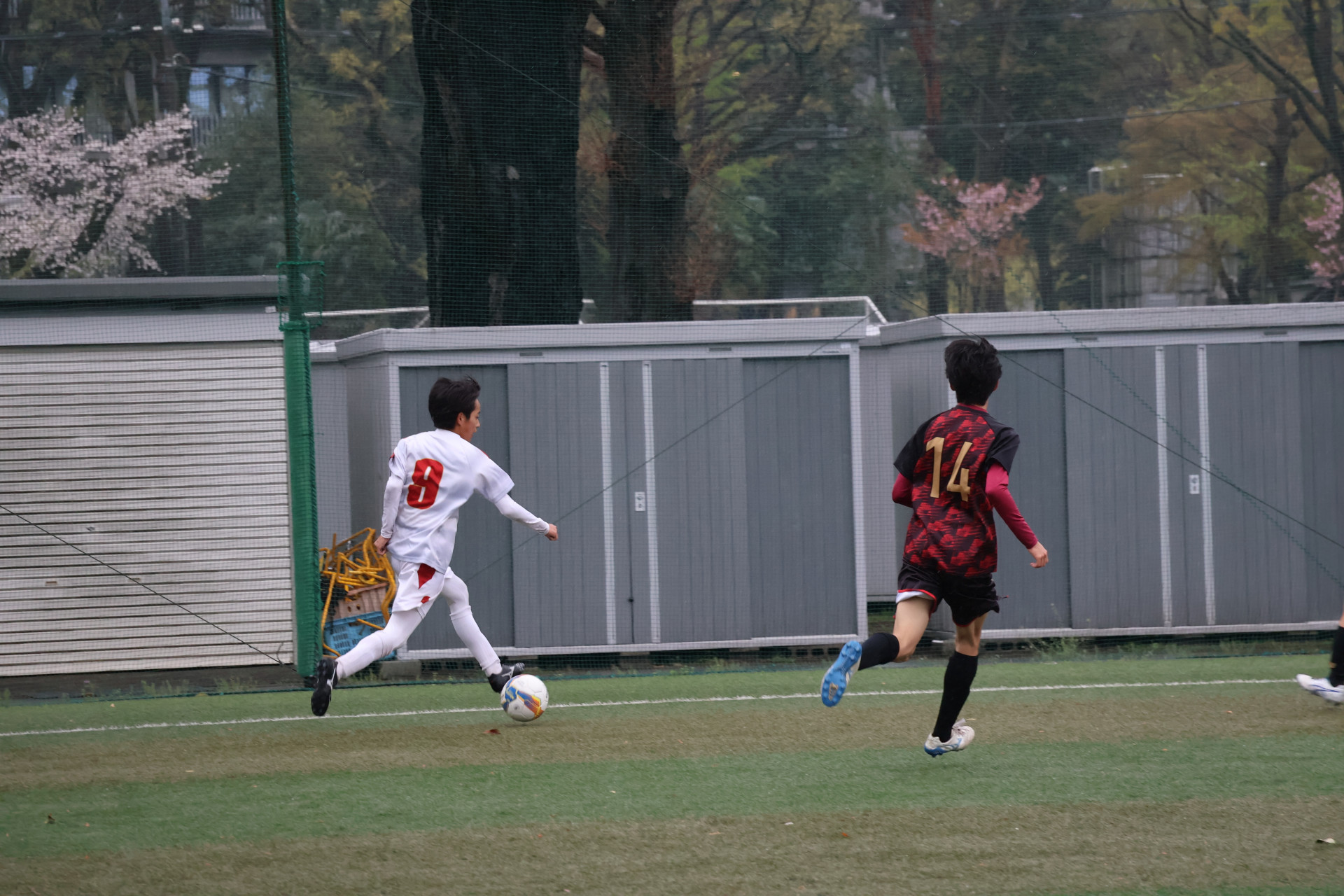 IMG_8824.JPG