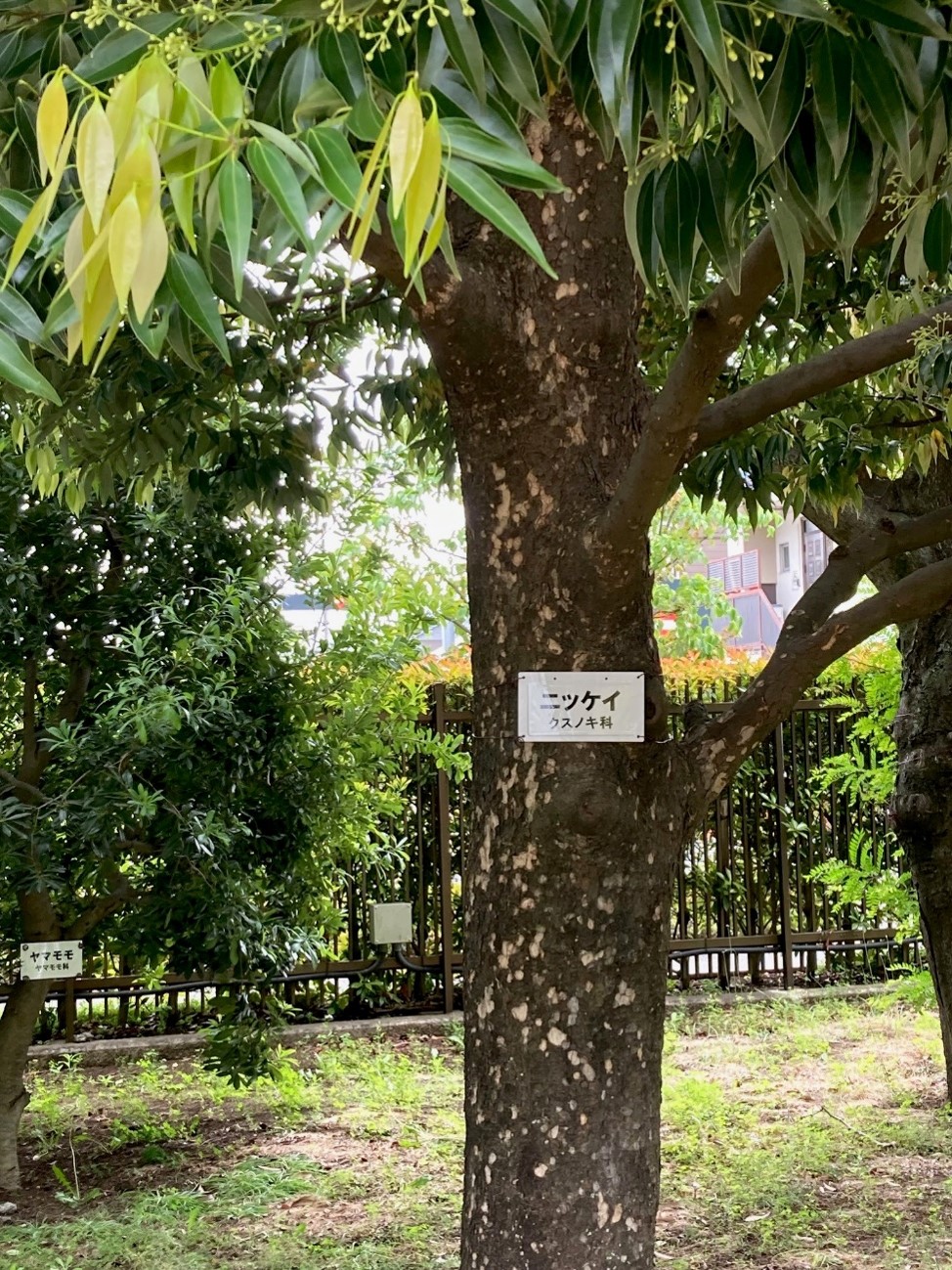 画像7
