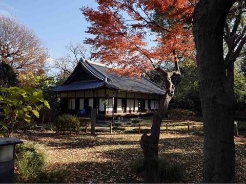 茶道部2