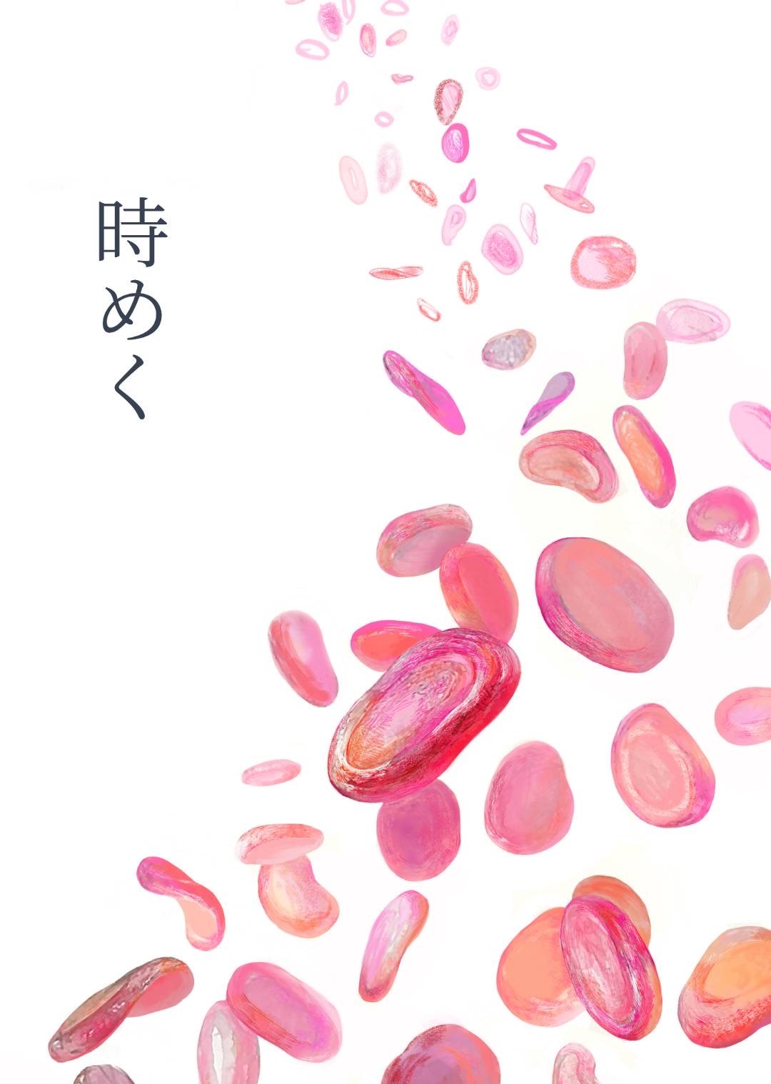 二年次展