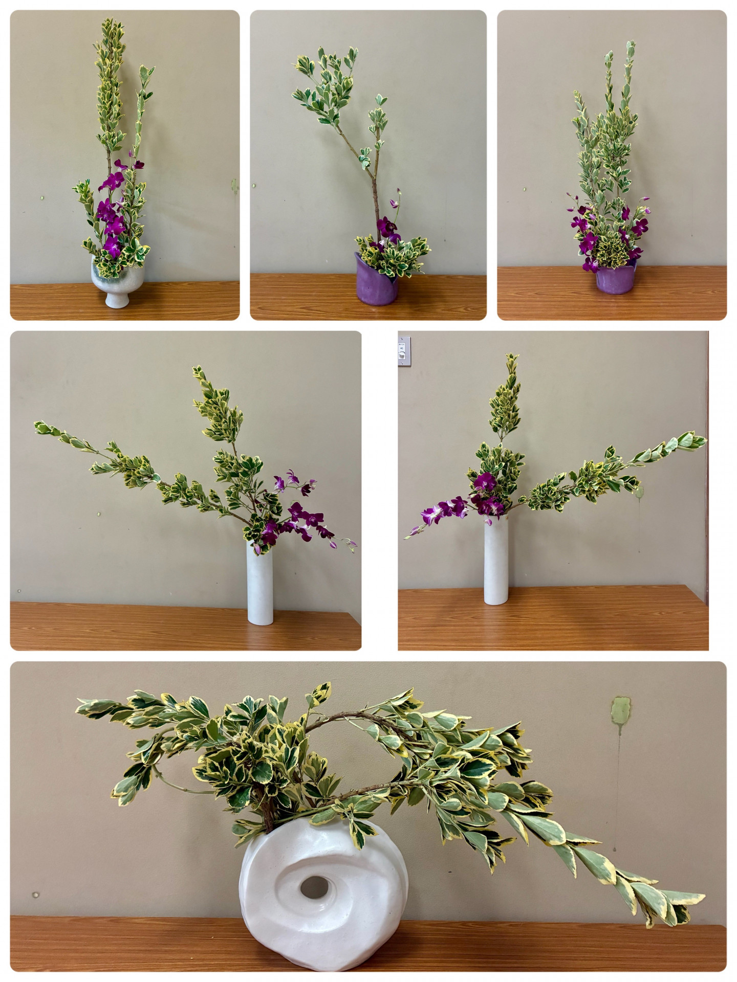 6月15日の花