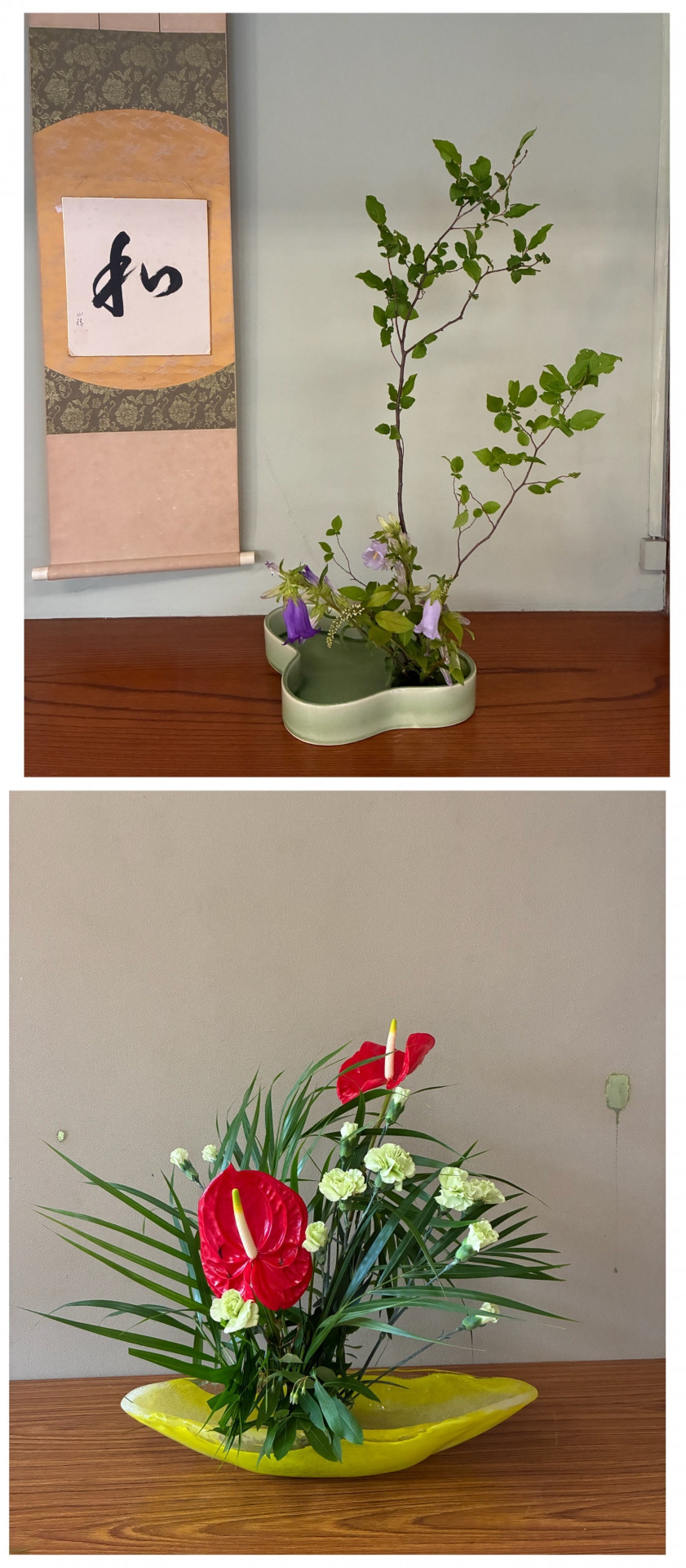 ５月１１日の花