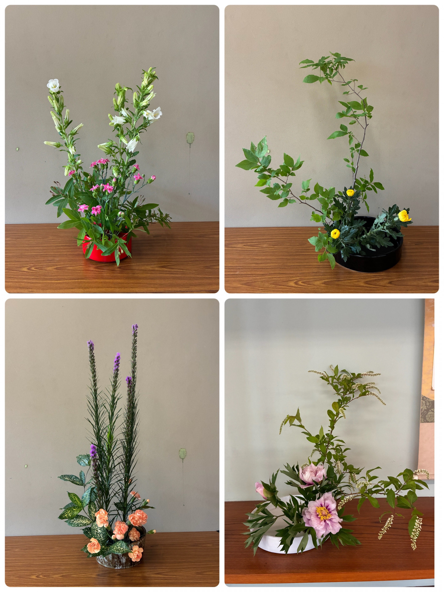 ５月１１日の花②