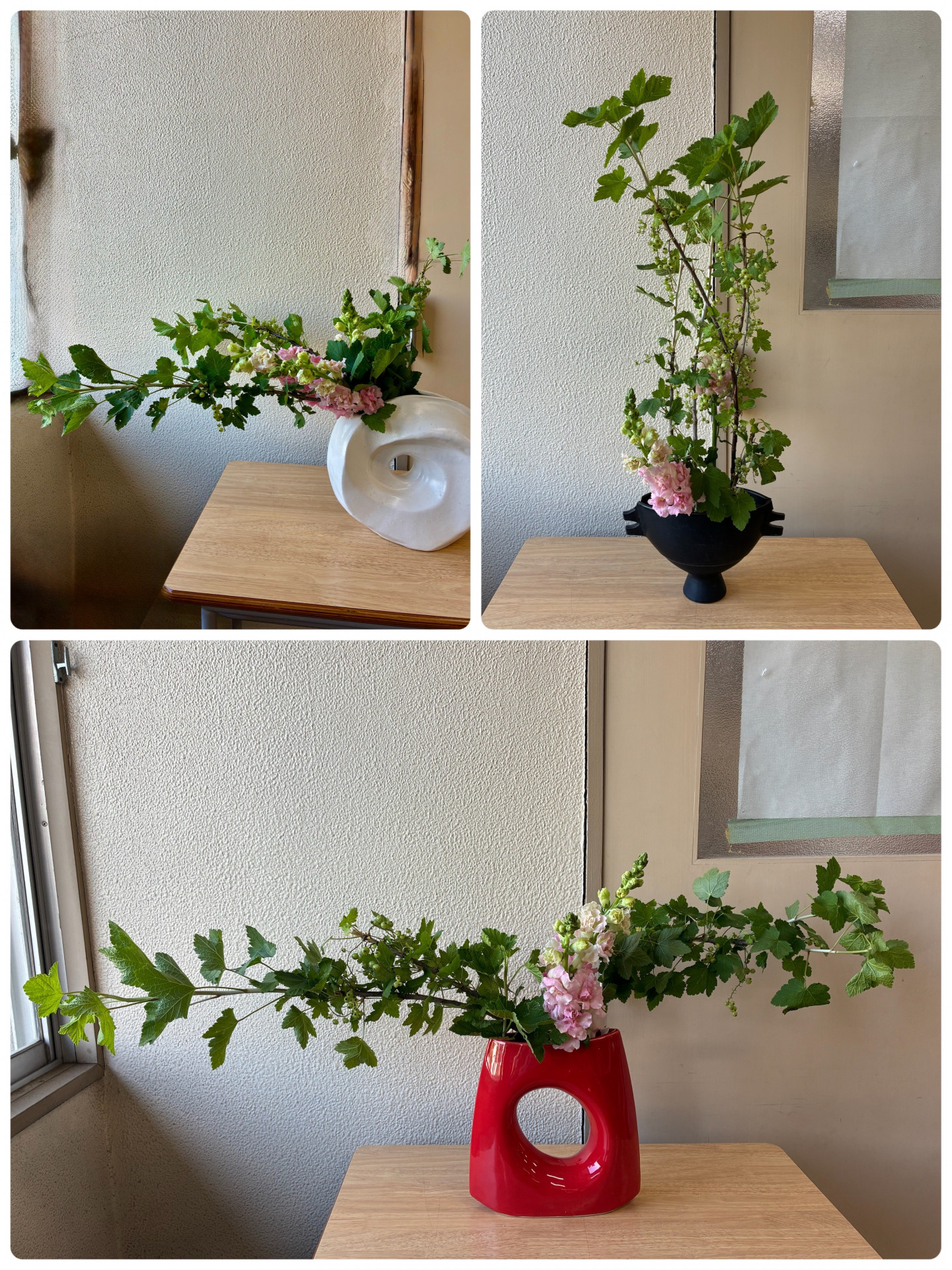 ５月１８日の花