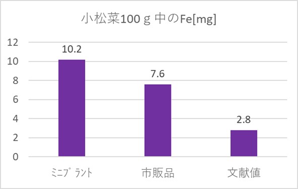 20240321_植物プラント８