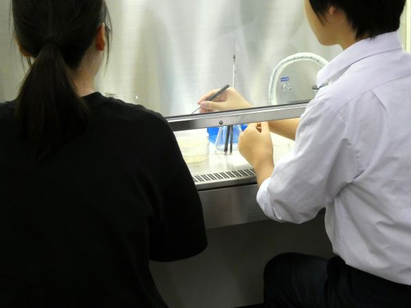 20240909_体験入学１.JPG