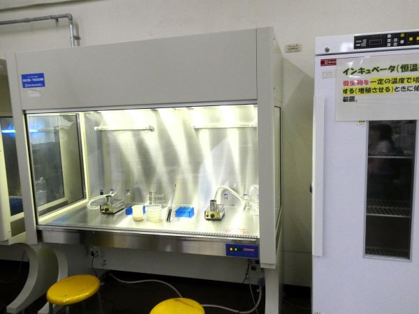 20240909_体験入学４.JPG