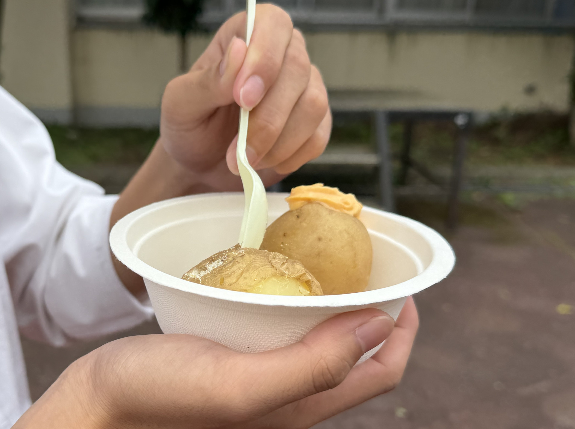 R08杉工祭2_1