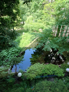 ＩＴ・環境実習１７