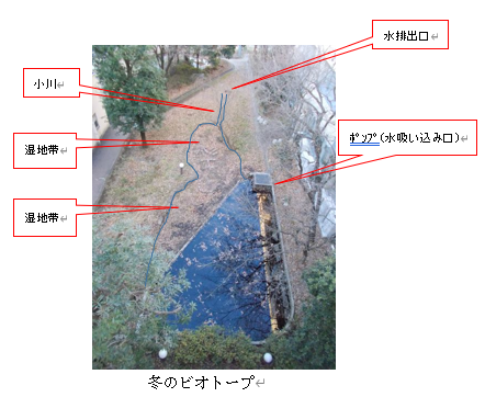 ビオトープ３
