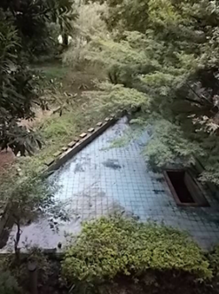 ビオトープ８