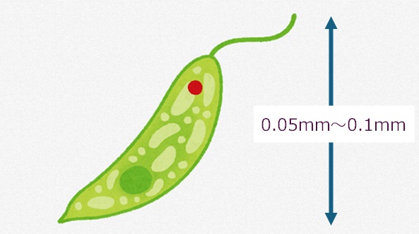 ＩＴ・環境実習２０