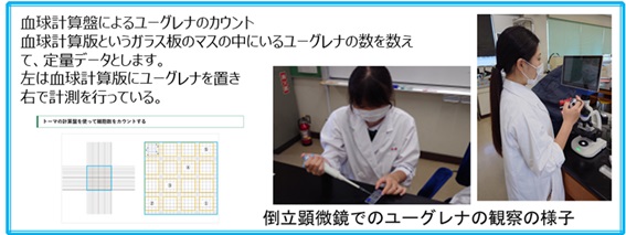 ＩＴ・環境実習２２