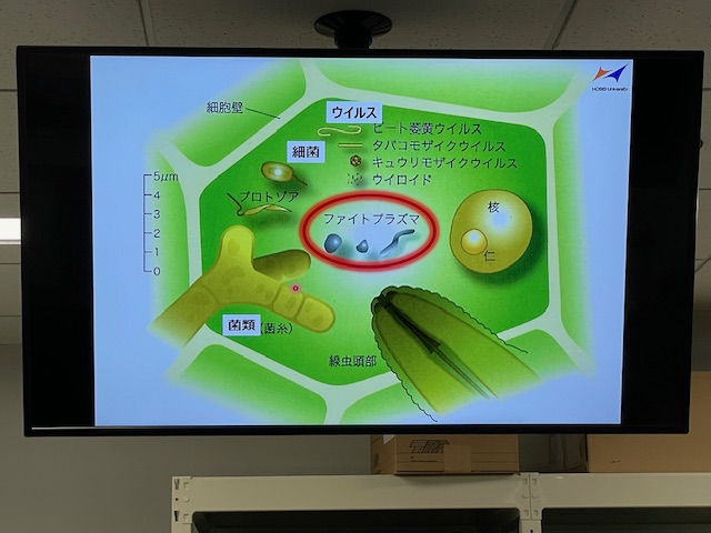 ワンデーサイエンス４