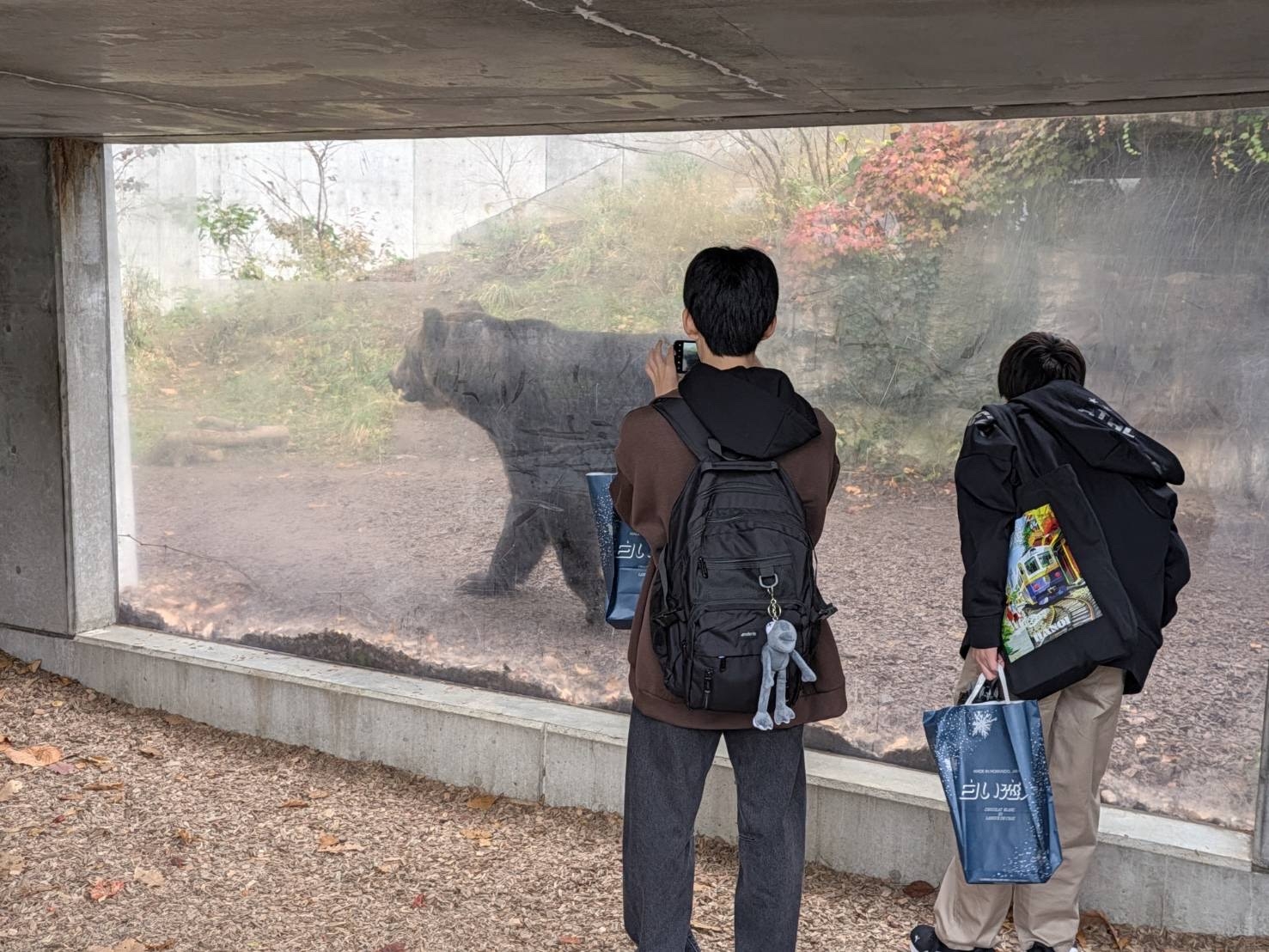 修学旅行_2026_2日目_円山動物園