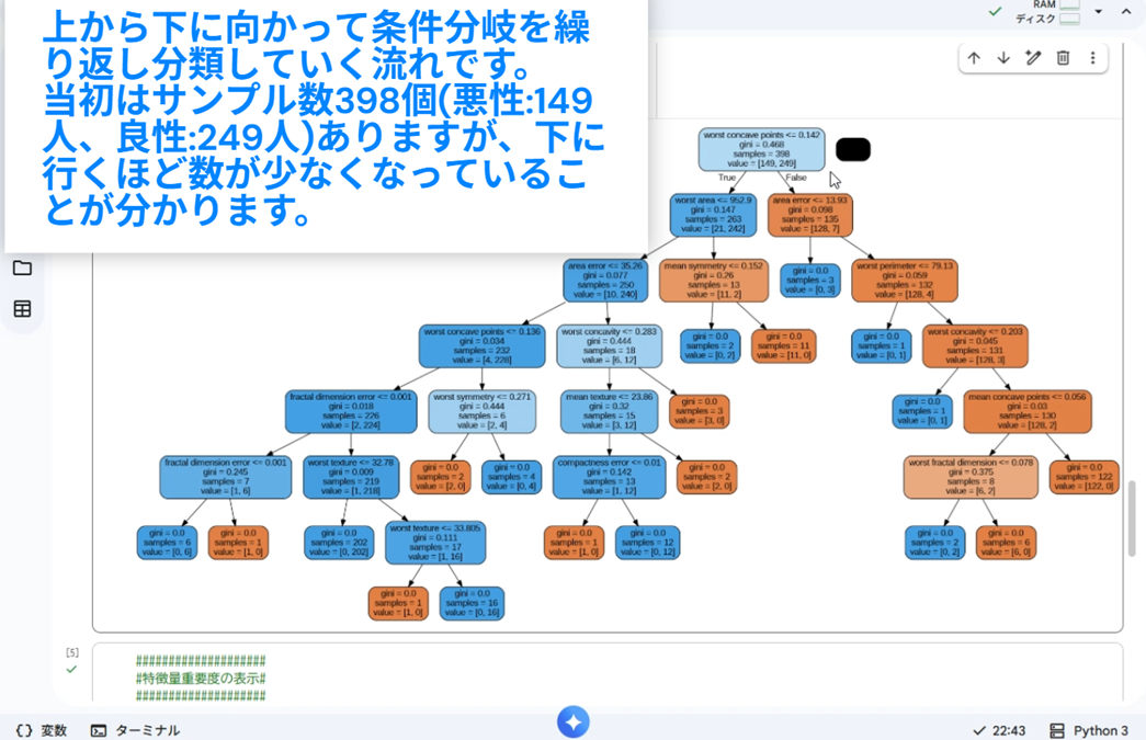 写真2