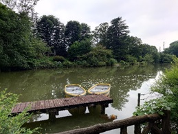 善福寺公園1