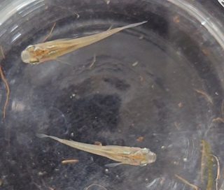 ＩＴ・環境実習１９