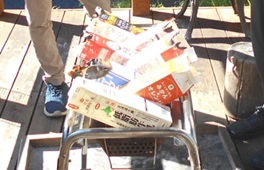 野外体験研修１１