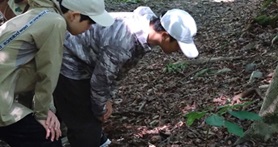 野外体験研修１７