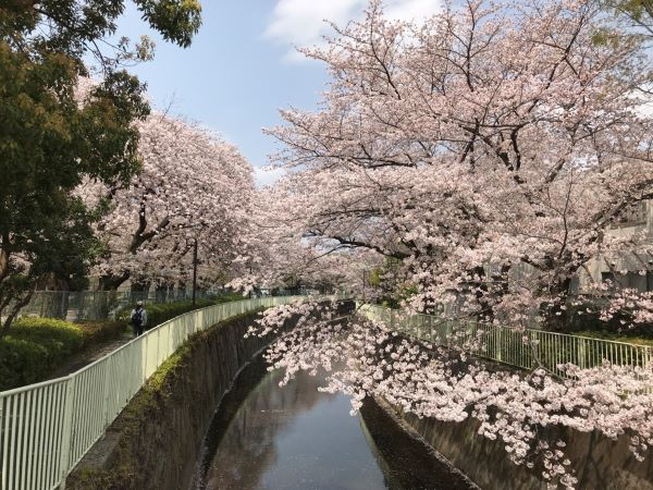 2019神田川