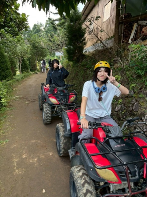 メディア-30_01242026