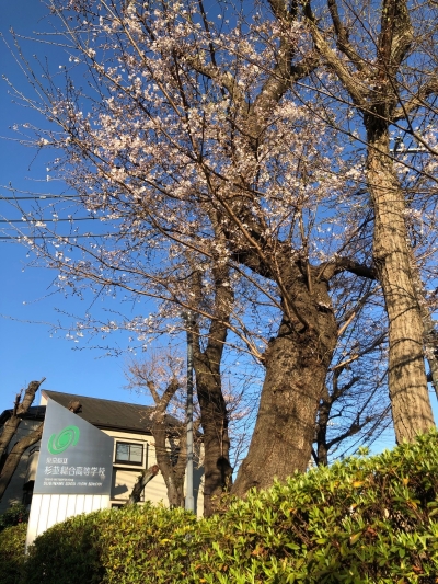 弓道部