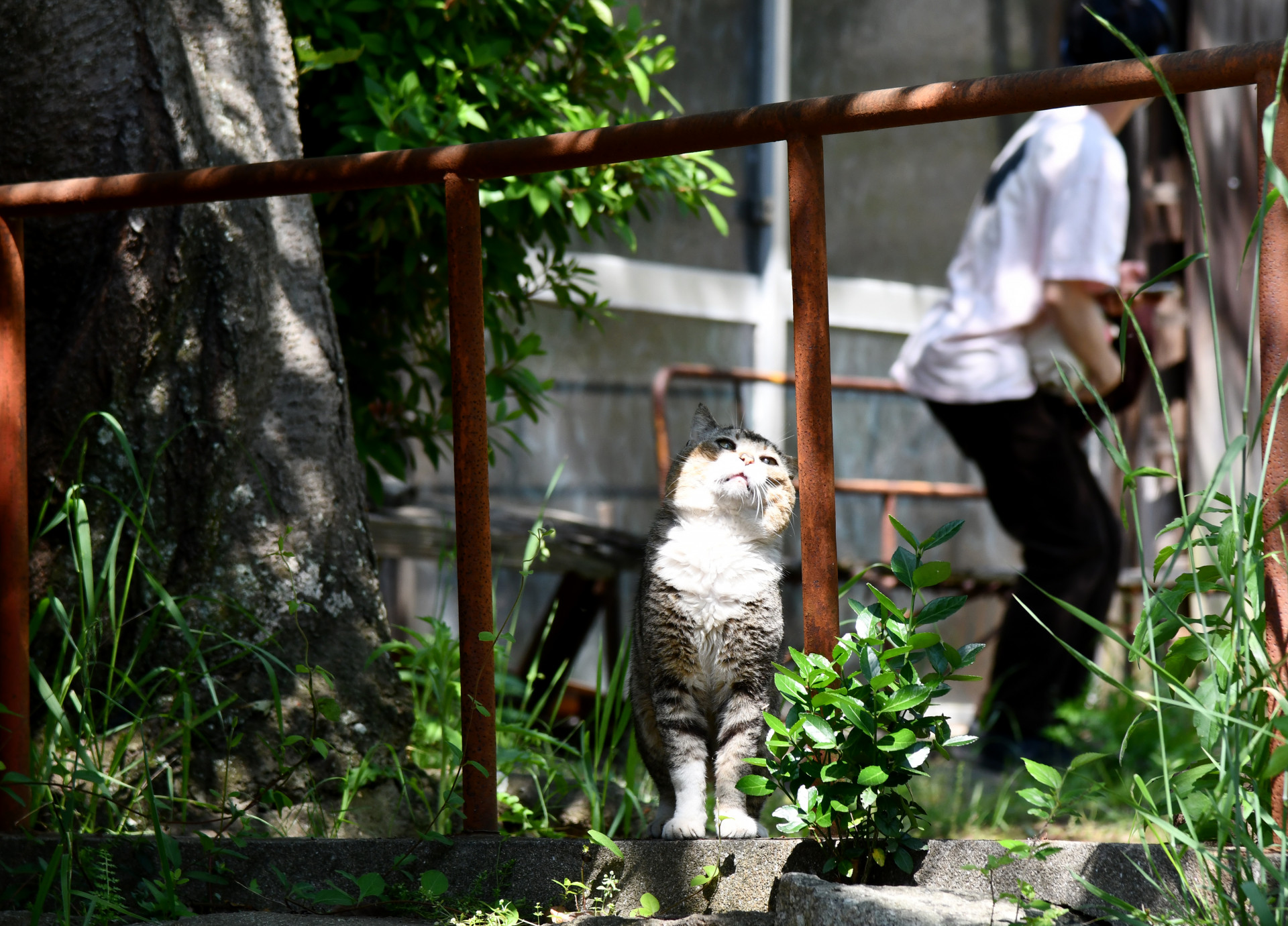 9写真部
