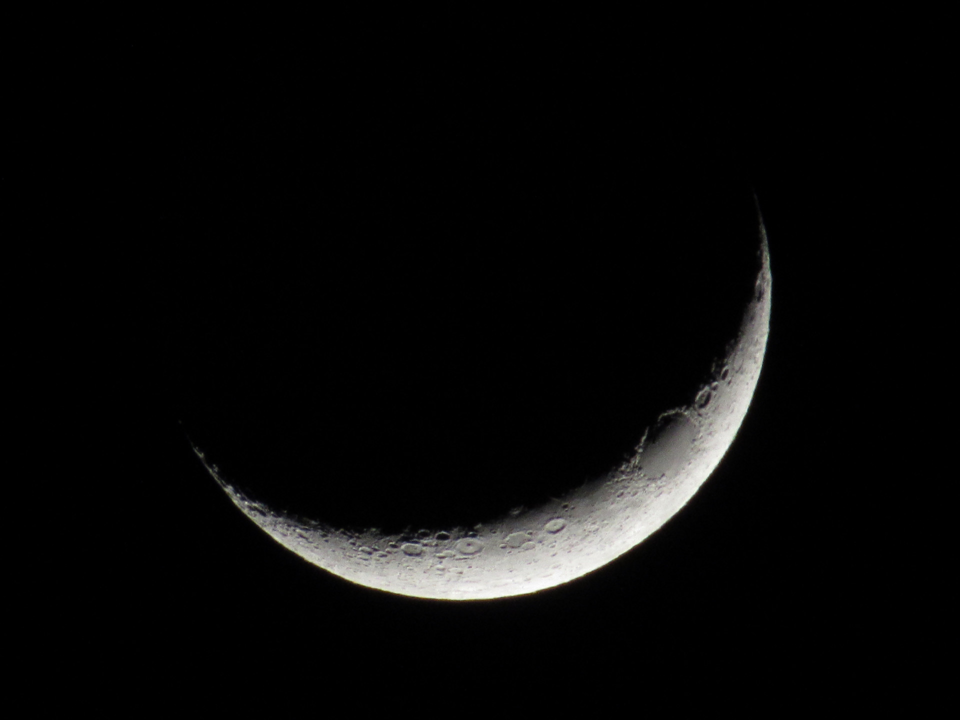 IMG_7284.JPG