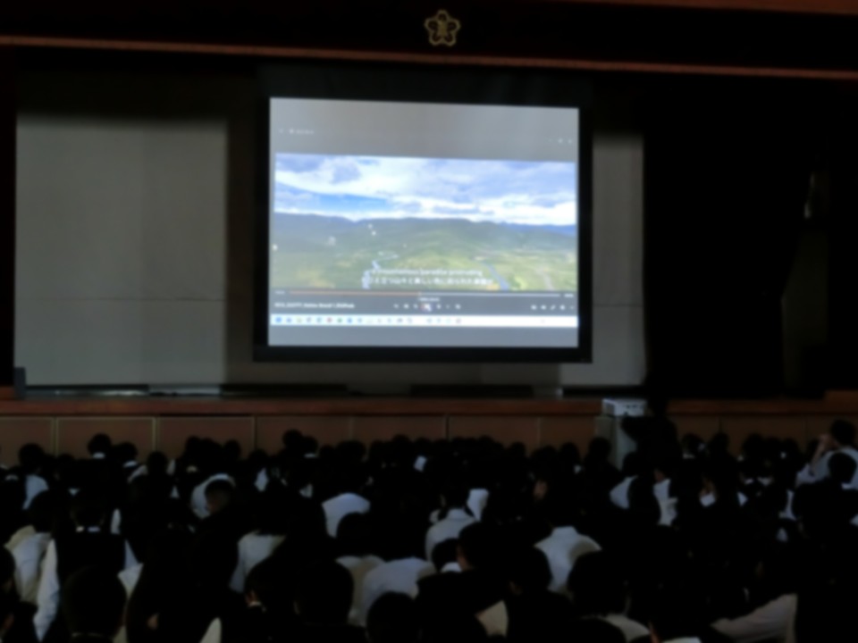 pict2.JPG