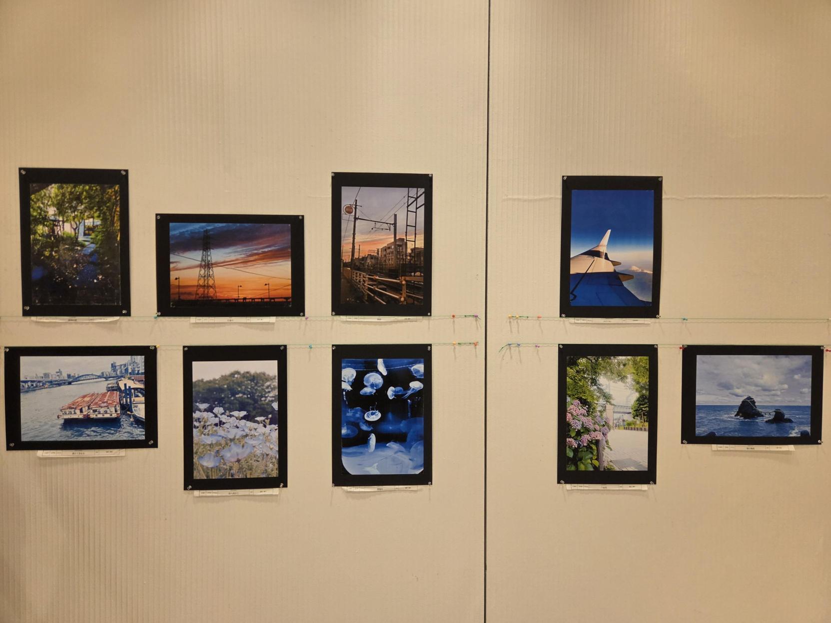 写真部　東京都写真展