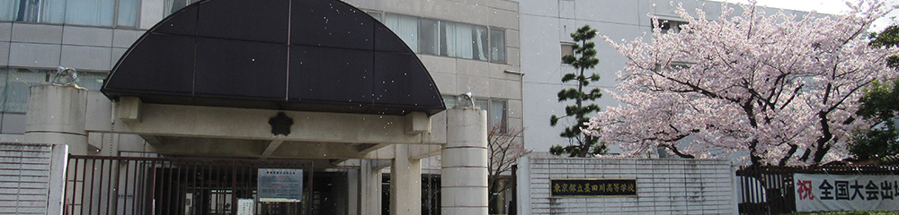 入学式の写真