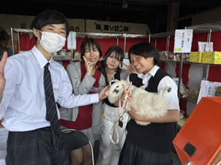 写真１