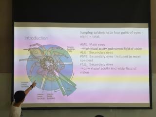 写真１UCLAにて課題研究の英語発表