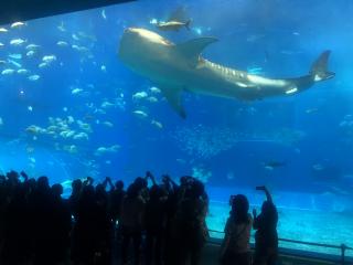 トップ画78 期修学旅行