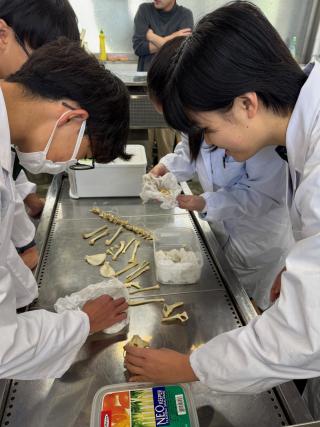 からだのしくみ２